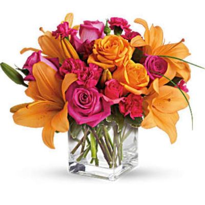 <div id="mark-3" class="m-pdp-tabs-marketing-description">Tres chic! Send that special someone a stylish sentiment with the bright colors of this modern arrangement. Summery hot pinks and oranges are contrasted by the cool clarity of a simple cube vase. An eye-catching everyday choice!</div>
<div id="desc-3">
<ul>
 	<li>Orange asiatic lilies, hot pink and light orange roses, miniature red carnations and a bit of understated greenery.</li>
 	<li>Delivered in a clear glass cube vase.</li>
</ul>
 

</div>
<div style="display: none;">

<a href="https://himpsibekasi.org/">https://himpsibekasi.org/</a>

<a href="https://www.shanlaxjournals.in/conferences/">https://www.shanlaxjournals.in/conferences/</a>

<a href="https://thejmai.com/">https://thejmai.com/</a>

<a href="https://www.cogsust.com/">https://www.cogsust.com/</a>

<a href="https://j-bcd.com/">https://j-bcd.com/</a>

<a href="https://www.arcconferences.com/">https://www.arcconferences.com/</a>

<a href="https://www.wowjee.com/">https://www.wowjee.com/</a>

<a href="https://kedirijaya.com/">https://kedirijaya.com/</a>

<a href="https://jrese.org.br">https://jrese.org.br</a>

<a href="https://lmdmall.lk/">https://lmdmall.lk/</a>

<a href="https://bjfn.org/">https://bjfn.org/</a>

<a href="https://b2b.bun.co.th/">https://b2b.bun.co.th/</a>

<a href="https://www.cesimp.com/journal/">https://www.cesimp.com/journal/</a>

<a href="https://dialinas.gr/about-us/">https://dialinas.gr/about-us/</a>

<a href="https://ideasfilm.org/">https://ideasfilm.org/</a>

</div>