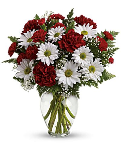 <p>Share your heart's true feelings with this delightful red and white bouquet. A lovely choice on any special day, this charming mix of red and white blooms is a classic show of kindness they'll always remember.<br />
Red carnations, red miniature carnations, white daisy spray chrysanthemums, baby's breath and leatherleaf fern.<br />
Delivered in a spring garden vase.</p>
