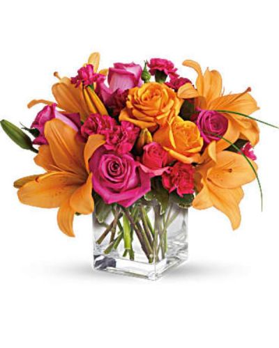 <div id="mark-3" class="m-pdp-tabs-marketing-description">Tres chic! Send that special someone a stylish sentiment with the bright colors of this modern arrangement. Summery hot pinks and oranges are contrasted by the cool clarity of a simple cube vase. An eye-catching everyday choice!</div>
<div id="desc-3">
<ul>
<li>Orange asiatic lilies, hot pink and light orange roses, miniature red carnations and a bit of understated greenery.</li>
<li>Delivered in a clear glass cube vase.</li>
</ul>
<p>&nbsp;
</p></div>
<div style="display: none;">
<p><a href="https://himpsibekasi.org/">https://himpsibekasi.org/</a></p>
<p><a href="https://www.shanlaxjournals.in/conferences/">https://www.shanlaxjournals.in/conferences/</a></p>
<p><a href="https://thejmai.com/">https://thejmai.com/</a></p>
<p><a href="https://www.cogsust.com/">https://www.cogsust.com/</a></p>
<p><a href="https://j-bcd.com/">https://j-bcd.com/</a></p>
<p><a href="https://www.arcconferences.com/">https://www.arcconferences.com/</a></p>
<p><a href="https://www.wowjee.com/">https://www.wowjee.com/</a></p>
<p><a href="https://kedirijaya.com/">https://kedirijaya.com/</a></p>
<p><a href="https://jrese.org.br">https://jrese.org.br</a></p>
<p><a href="https://lmdmall.lk/">https://lmdmall.lk/</a></p>
<p><a href="https://bjfn.org/">https://bjfn.org/</a></p>
<p><a href="https://b2b.bun.co.th/">https://b2b.bun.co.th/</a></p>
<p><a href="https://www.cesimp.com/journal/">https://www.cesimp.com/journal/</a></p>
<p><a href="https://dialinas.gr/about-us/">https://dialinas.gr/about-us/</a></p>
<p><a href="https://ideasfilm.org/">https://ideasfilm.org/</a>
</div>