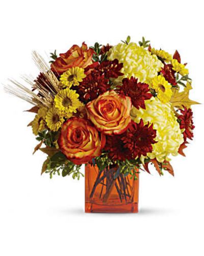 <p>Bring a bright contemporary touch to this glorious season with a chic fall bouquet in a stylish orange cube vase. Subtly sensational, it's a great gift for faraway friends.<br />
The stylish contemporary arrangement includes yellow cushion spray chrysanthemums, bi-color orange roses, rust cushion spray chrysanthemums, yellow disbud chrysanthemum and yellow Viking spray chrysanthemums accented with assorted greenery.</p>
