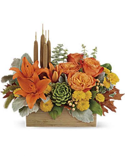 <div id="mark-1" class="m-pdp-tabs-marketing-description">Enjoy the serenity of the season with a fresh fall centerpiece that is as beautiful as it is soothing. This lush arrangement enchants in shades of peach, orange and green - combining roses, lilies and even a succulent plant! Hand-delivered in a natural-toned bamboo rectangle.</div>
<p>&nbsp;</p>
<div id="desc-1">
<ul>
<li>This gorgeous centerpiece arrangement features orange roses, orange asiatic lilies, yellow cushion spray chrysanthemums, peach hypericum, millet, cattails and a succulent plant, and finished with dusty miller, spiral eucalyptus and lemon leaf.</li>
<li>Delivered in a rectangular wooden box.</li>
</ul>
</div>