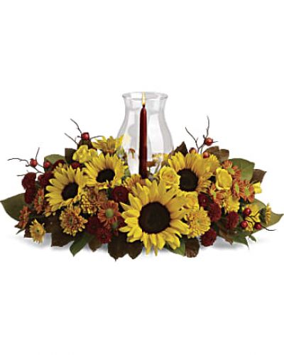 <p>Sunflowers are the stars of this fabulous fall flower centerpiece! All the classic autumnal colors are here, plus a glowing glass hurricane, making it a heartwarming decoration for your Thanksgiving table, kitchen counter or powder room.<br />
Stunning sunflowers add bright energy to this beautiful arrangement of bronze daisies, bronze cushion mums and rust button mums.<br />
Accented with red ilex berries, brown copper beech leaves, magnolia leaves and salal.</p>