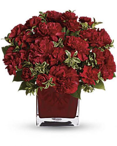<p>Simply speaking, red means romance. Send this bouquet of vibrant red carnations to your sweetheart and you'll convey passion, energy and desire. Remember also that you're sending not one gift but two: gorgeous flowers and a colorful cube vase.<br />
A mix of red carnations and red miniature carnations is delivered in a red glass cube vase.</p>